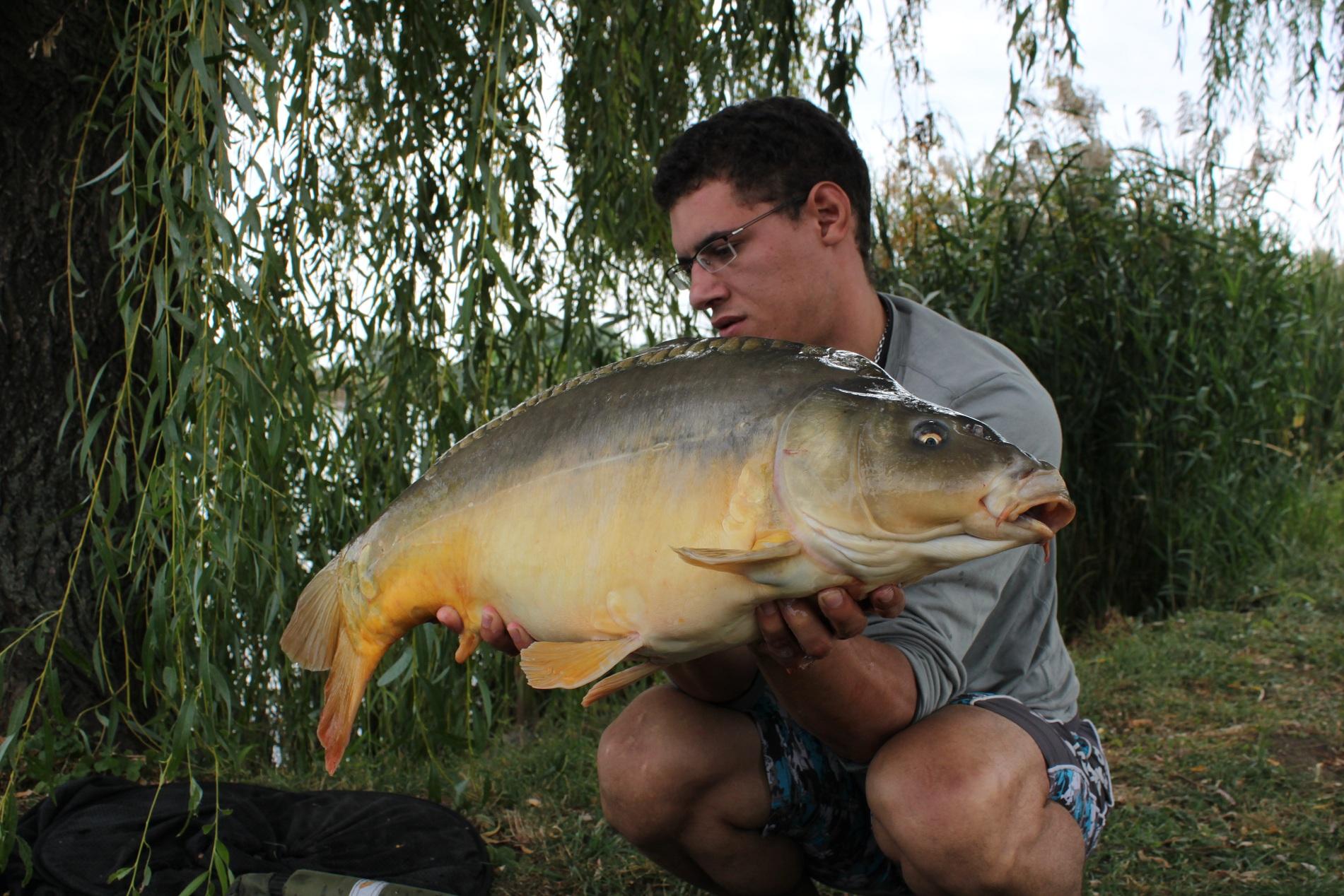 Mv2 Nagykallo - IMG_1030.JPG